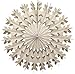 Devra Party 6-Piece Tissue Paper Snowflakes, White, 15-22 Inch