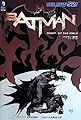バットマン:梟の夜 (ShoPro Books THE NEW52!)