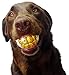 Humunga Bling Rock Star Teeth Shaped Ball Toy for Medium and Large Dogs