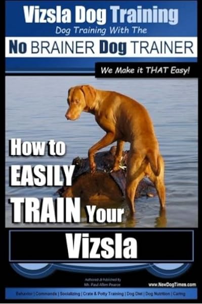 trained vizsla for sale