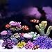 Danmu 1pc of Polyresin Coral Ornaments, Aquarium Coral Decor 3 9/10″ x 3 1/2″ x 2″ for Fish Tank Aquarium Decorationthumb 3