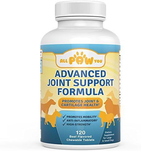 Glucosamine for Dogs with Chondroitin, MSM - Vet Approved - High Strength Hip &amp; Joint Supplement For Natural Arthritis and Dysplasia Care - 120 Easy Feed Beef Chew Tablets for Large &amp; Small Dogs