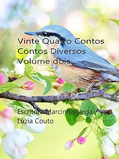 Livro Vinte Quatro Contos: Contos Diversos Volume dois