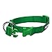Blueberry Pet 6 Colors Better Basic Dog Collar, Light Emerald Green, Small, Neck 12