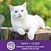 Wellness Complete Health Cubed Adult Wet Cat Food, Natural, Protein-Rich, Grain Free, 5.5 Ounce , 24 Pack, (Turkey Entrée)