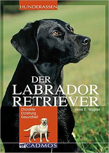 Labrador Retriever Charakter Erziehung Gesundheit Cadmos - 