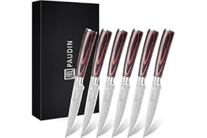 PAUDIN Steak Knives Set of 6, Kitchen Steak Knife 4.5 Inch, High Carbon Stainless Steel Steak Knives, Serrated Steak Knife wi