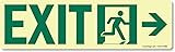 SmartSign - S-5585-GS-4.5x14 "Exit" Label with