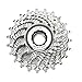 Campagnolo Veloce 10 Speed Cassette - Silver, Size 12 25