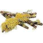 T-Rex Terra Accents Lichen Sticks, Brown / Green