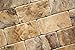 Philadelphia 3 X 6 Travertine Tumbled Brick Tile - 2 pcs. Sample Set
