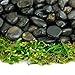 Southwest Boulder & Stone Polished Pebbles | 5 Pounds of Natural, Decorative Stones | Hand-Picked, Premium Pebbles for Aquariums, Terrariums, Fish Tanks and Gardens | Black, 3/8 Inch - 5/8 Inch