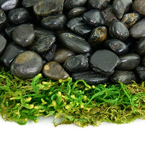 Southwest Boulder & Stone Polished Pebbles | 5 Pounds of Natural, Decorative Stones | Hand-Picked, Premium Pebbles for Aquariums, Terrariums, Fish Tanks and Gardens | Black, 3/8 Inch - 5/8 Inch