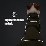 HEYWEAN Dog Jacket Waterproof Reflective Fleece Lined Cold Weather Coat view 5