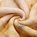FULIFE Throw Blanket, Warm & Cozy Plush Fleece Blankets