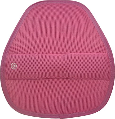 SOJOY Best Posture Cooling Massaging Lumbar Back Support Back Mesh Cushion (Pink)