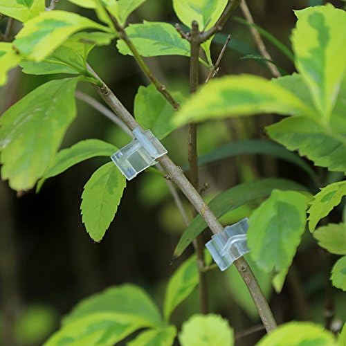 Fdit 100 pinzas para manualidades con clip para plantas, diseño de ...
