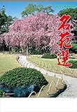 JAPANESE CALENDAR Meiwa Calendar [2020 Calendar] Wall Hanging Kyoto Garden Meijo Selection MW-1 by 