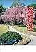JAPANESE CALENDAR Meiwa Calendar [2020 Calendar] Wall Hanging Kyoto Garden Meijo Selection MW-1 by 