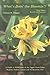 What's Doin' the Bloomin'?: A Guide to Wildflowers of the Upper Great Lakes Regions, Eastern Canada And Northeastern USA