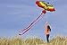 HENGDA KITE- Kites for Kids Children Lovely Cartoon Red Parrot Kites with Flying Line