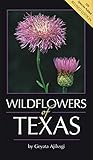 Wildflowers of Texas by 