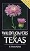 Wildflowers of Texas by 