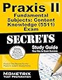 Praxis Ii Fundamental Subjects Content Knowledge 5511