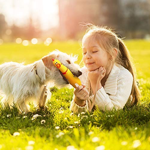 6 Legend+Sandy+Screaming+Noisemakers+Shrilling