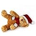 WILDREAM Plush Bear Stuffed Animals, First Teddy Bear Plush for Boys Girls Soft Gifts for Birthday, 11 Inches (Honey Brown)