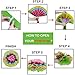 Supla 6 Pcs Fiesta Tissue Paper Flowers Pom Poms Ball Tissue Paper Pom Poms Flowers 15.4