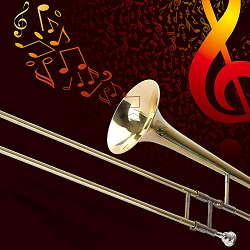 Apelila Gold Bb Tenor Trombone, Tuner, with Hard Case Mouthpiece Cleaning Kit & Care Kit Standard Student Beginner Brass Trombone