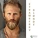 Manly Guy Strawberry Blonde Hair, Beard & Mustache Color: 100% Natural & Chemical Free Henna Hair Dye