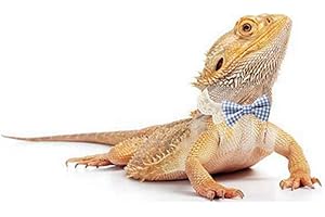 HAICHEN TEC Lizard Clothes Bearded Dragons Blue White Plaid Bowtie with Elastic Lace Decor Handmade Stretchy Bowknot Collar Outfit Reptile Apparel Accessories Photo Gift Lizard Clothes for Leopard Reptile Gecko