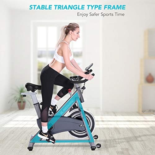 maxkare indoor exercise bike