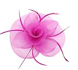 Urban CoCo Women's Vintage Flower Feather Mesh Net Fascinator Hair Clip Hat for Party Wedding (Rose)