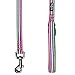 Blueberry Pet Reflective Dog Leash - Puppy Essentials, Gentle Leader for Dogs, Reflective Dog Collar & Leash, Eco-Friendly, Durable Nylon, Comfortable Handle for Active Pet Parents & Dogs That Pull