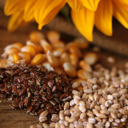 WachtelGold® Wachtel Kükenfutter ProVital 10â¯kg â Hochwertiges Aufzuchtfutter für Wachtelküken ab dem 1. Tag, mit Leinsaat, Bierhefe & Oregano, ohne Gentechnik & Palmöl – Bild 3