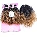 FRELYN Loose Wave Synthetic Hair Weave Bundles with Closure Ombre Color T1B/27 Black to Dirty Blonde 16 18 20 Inches Bundles with Lace Closure