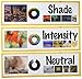 School Specialty Color Concepts Art Display Cards - 18 x 6 inches - Set of 16