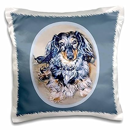 Amazon Com Dogs Dachshund Long Hair Dapple Dachshund 16x16