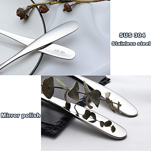 Wenkoni 304 Stainless Steel Spoons,Soup Spoons,Rice Spoons,Table Spoons,Dinner Spoons.(Color:Silver)
