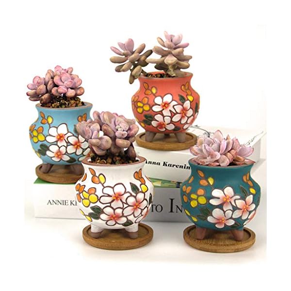Summer Impressions Hand Painted Tall Round Succulent Planter Cactus