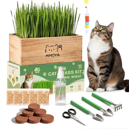 HiHOYA Cat Grass Growing Kit