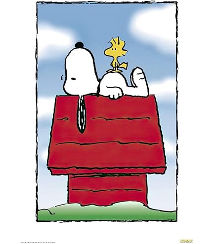 Amazon.com: Snoopy Red Baron Poster Charlie Brown Peanuts Wall