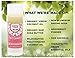 Don't Sweat It Organic All Natural Pretty Flowers Underarm Deodorant Stick for Women, Men and Kids, Vegan, Cruelty Free, Gluten Free, Aluminum Free, Paraben Free, 3.2 Oz Stow-and-Go Container