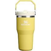 STANLEY IceFlow 2.0 Flip Straw Tumbler with Handle 20 oz | Twist On Lid and Flip Up Straw | Leakproof Water Bottle | Insulated Stainless Steel | BPA-Free | Daffodil