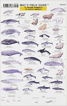 Mac S Guide To Marine Mammals Of North America Mac S