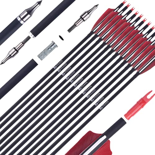 Archery Equipment Arrows 30 Inch Carbon Hunting Arrows - 12 Pack With ...