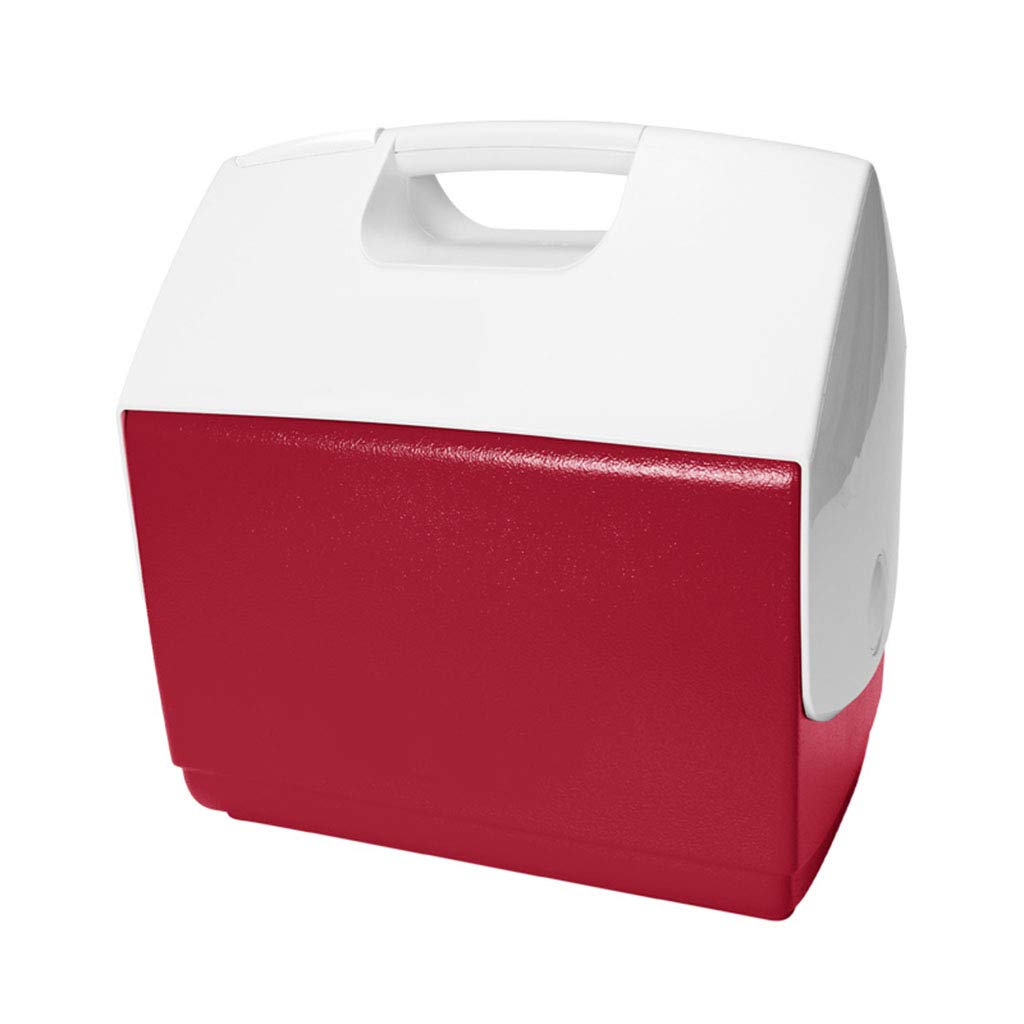 LIYANBWX - Nevera portátil para Acampada, caravanas y picnics (15 ...